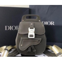 Top Grade Dior Saddle Grained Calfskin Backpack Small Bag CD500854 Gray 2019