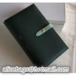 Good Product Celine Bicolour Large Strap Multifunction Wallet 608011 Dark Green/Pale Green