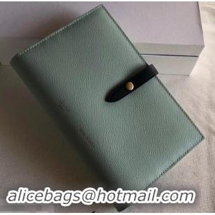 Good Product Celine Bicolour Large Strap Multifunction Wallet 608011 Pale Green/Navy Blue