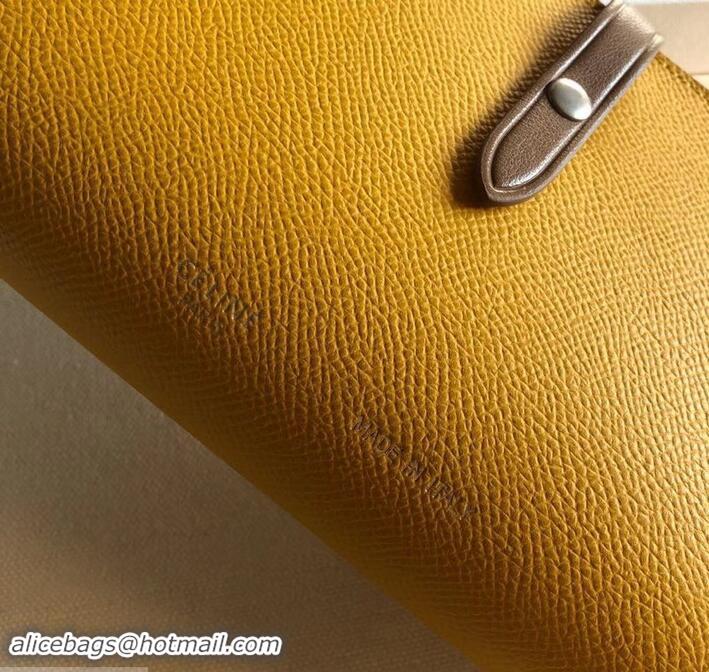 Low Price Celine Bicolour Large Strap Multifunction Wallet 608011 Yellow/Brown