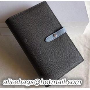 Best Quality Celine Bicolour Large Strap Multifunction Wallet 608011 Etoupe/Baby Blue