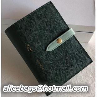 Charming Celine Bicolour Medium Strap Multifunction Wallet 608012 Dark Green/Pale Green