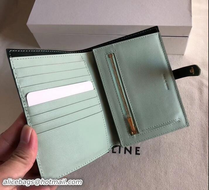 Charming Celine Bicolour Medium Strap Multifunction Wallet 608012 Dark Green/Pale Green