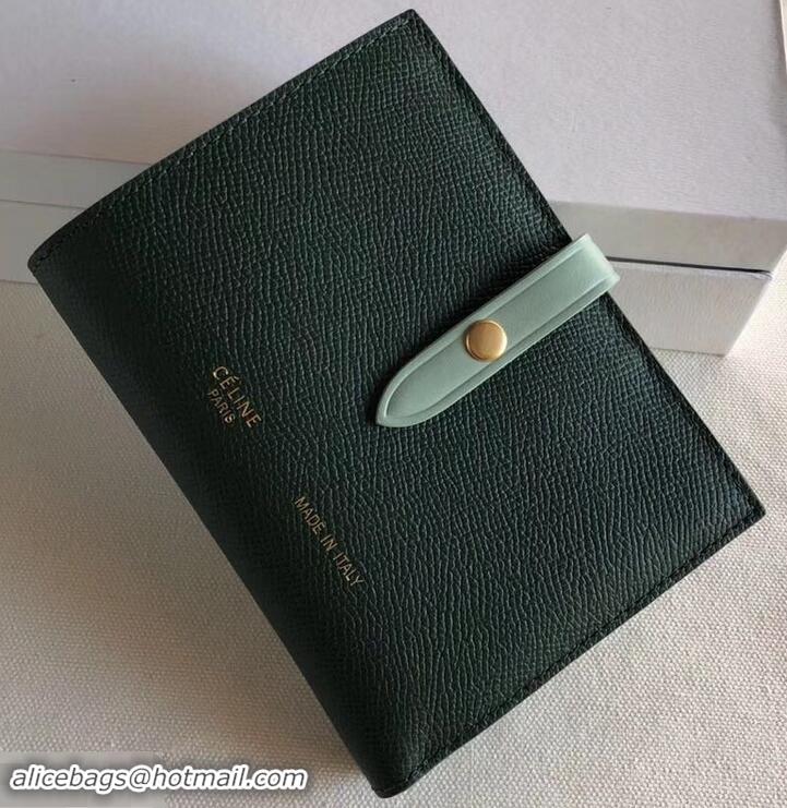 Charming Celine Bicolour Medium Strap Multifunction Wallet 608012 Dark Green/Pale Green