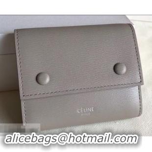 Good Product Celine Epi Small Flap Folded Multifunction Wallet 600913 Light Gray