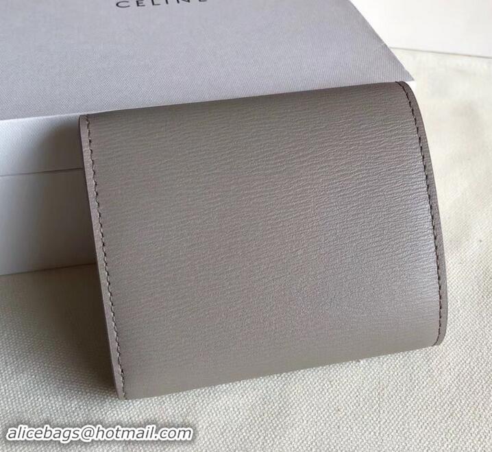 Good Product Celine Epi Small Flap Folded Multifunction Wallet 600913 Light Gray