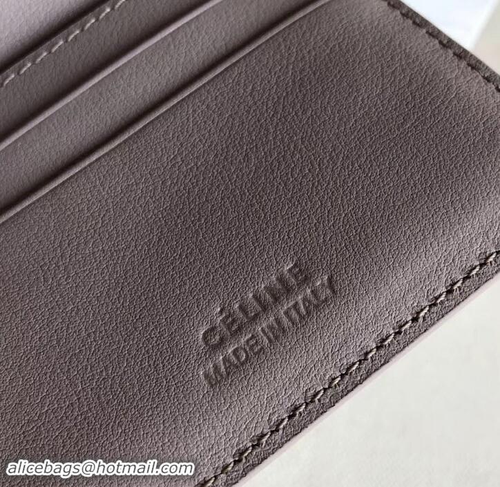 Good Product Celine Epi Small Flap Folded Multifunction Wallet 600913 Light Gray