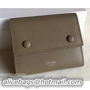 Perfect Celine Epi Small Flap Folded Multifunction Wallet 600913 Coffee