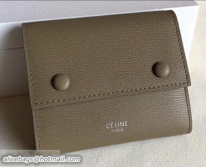 Perfect Celine Epi Small Flap Folded Multifunction Wallet 600913 Coffee