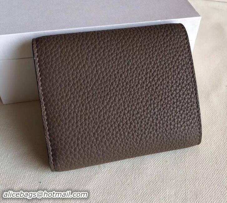 Unique Grade Celine Grained Leather Small Flap Folded Multifunction Wallet 600914 Etoupe