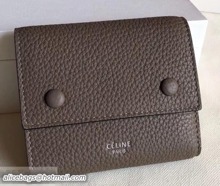 Unique Grade Celine Grained Leather Small Flap Folded Multifunction Wallet 600914 Etoupe