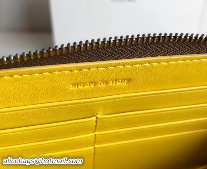 Promotion Shop Celine Large Multifunction Zip Around Wallet 600916 Camel/Yellow