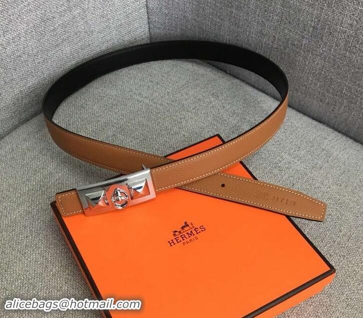 Luxury Hermes Width 2.5cm Collier De Chien Buckle Belt 619018 Brown/Silver