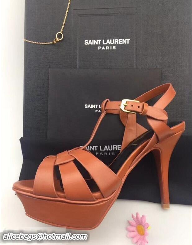 Good Taste Saint Laurent Tribute Sandals In Smooth Leather Y96451 Brown