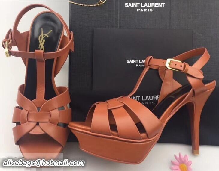 Good Taste Saint Laurent Tribute Sandals In Smooth Leather Y96451 Brown