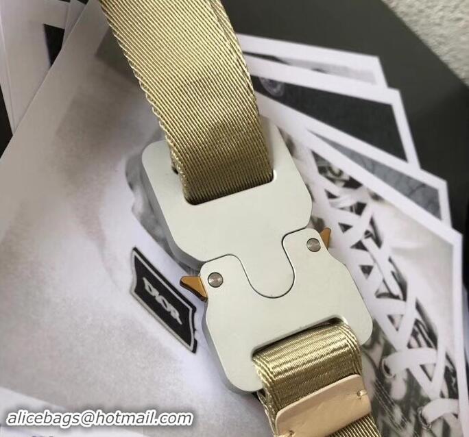 Good Product Dior Width 2.5cm Belt with Square CD Buckle in 931043 Canvas Beige