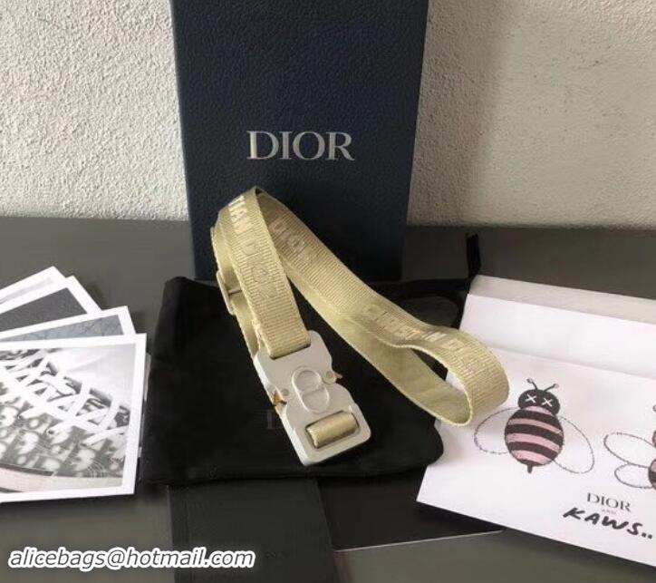 Good Product Dior Width 2.5cm Belt with Square CD Buckle in 931043 Canvas Beige