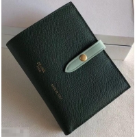 Charming Celine Bicolour Medium Strap Multifunction Wallet 608012 Dark Green/Pale Green