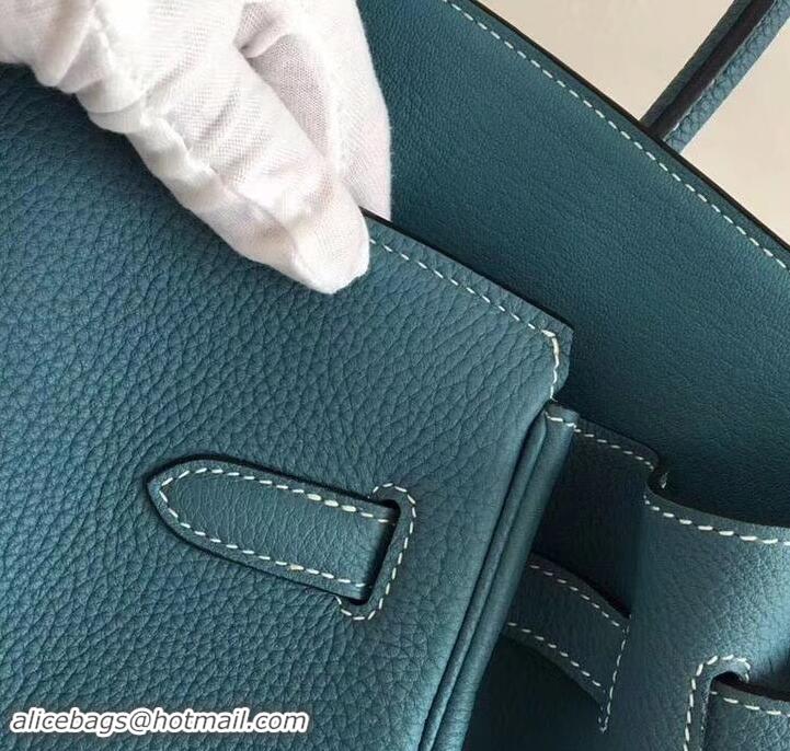 Stylish Hermes Birkin 35 Bag in Print Leather 630119 Blue