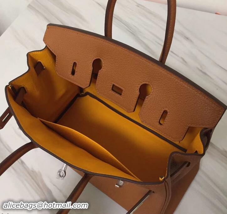 Discount Hermes red Striped Birkin 25 Bag in original togo Leather 630130 Brown