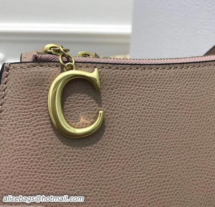 Good Quality Dior Grained Calfskin Saddle Zipped Clutch Bag 170206 Nude 2019