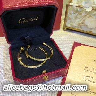 Hot Sell Fashion Cartier Earrings CE2313 Gold