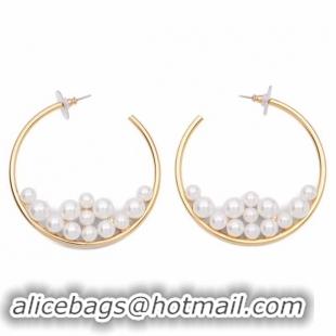 Grade Trendy CELINE Earrings CE2340