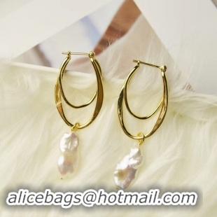 mitation Charming CELINE Earrings CE2343