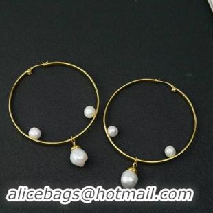 Modern Classic Discount CELINE Earrings CE2302