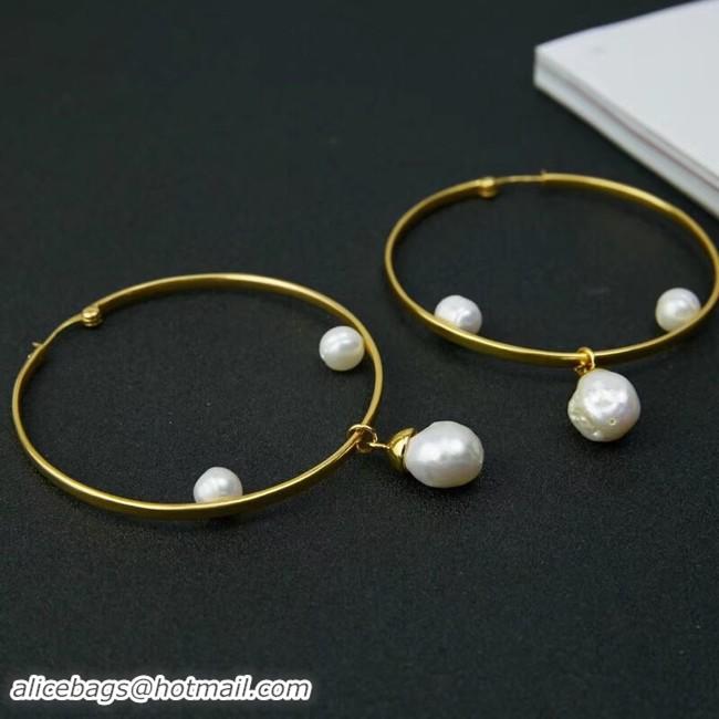 Modern Classic Discount CELINE Earrings CE2302