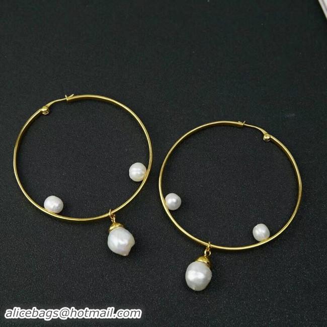 Modern Classic Discount CELINE Earrings CE2302