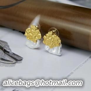 Hot Style CELINE Earrings CE2303