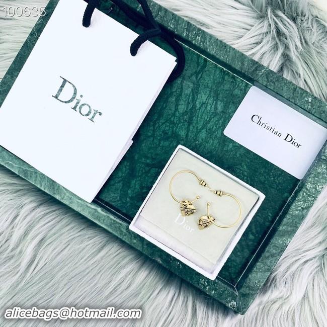 Buy Low Price Dior Earrings CE2019