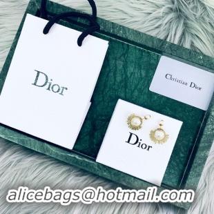 Luxury Discount Dior Earrings CE2020