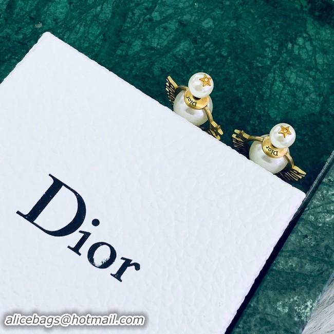 Luxury Discount Dior Earrings CE2020