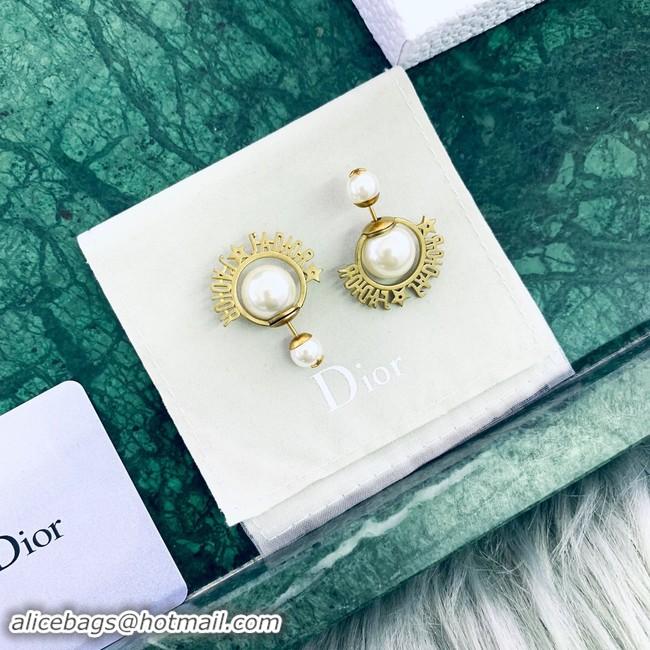 Luxury Discount Dior Earrings CE2020