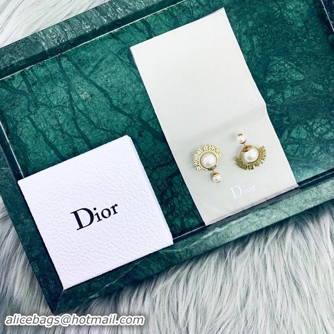 Luxury Discount Dior Earrings CE2020