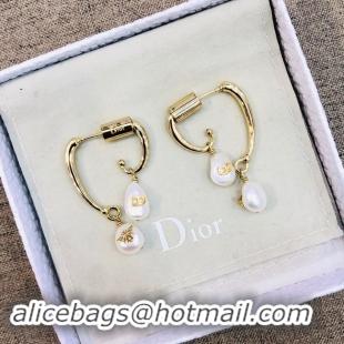 Low Price Discount Dior Earrings CE2021