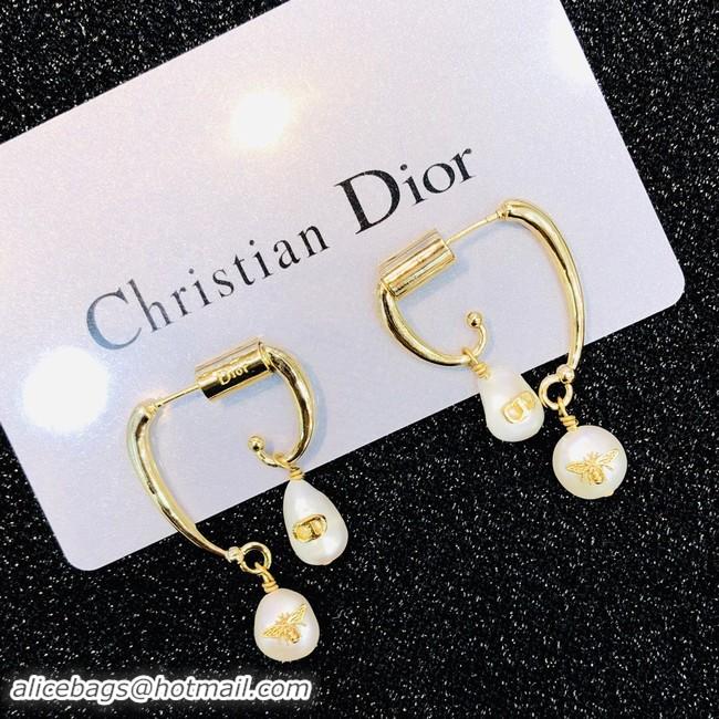 Low Price Discount Dior Earrings CE2021