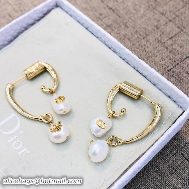 Low Price Discount Dior Earrings CE2021