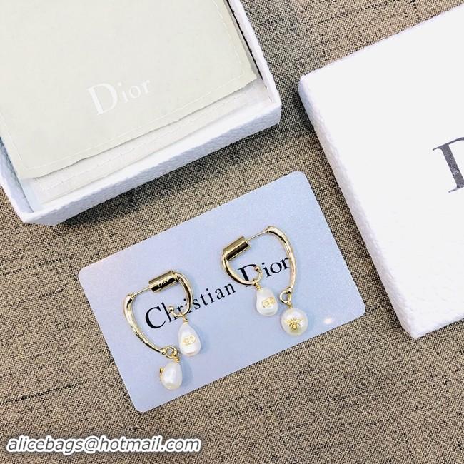 Low Price Discount Dior Earrings CE2021