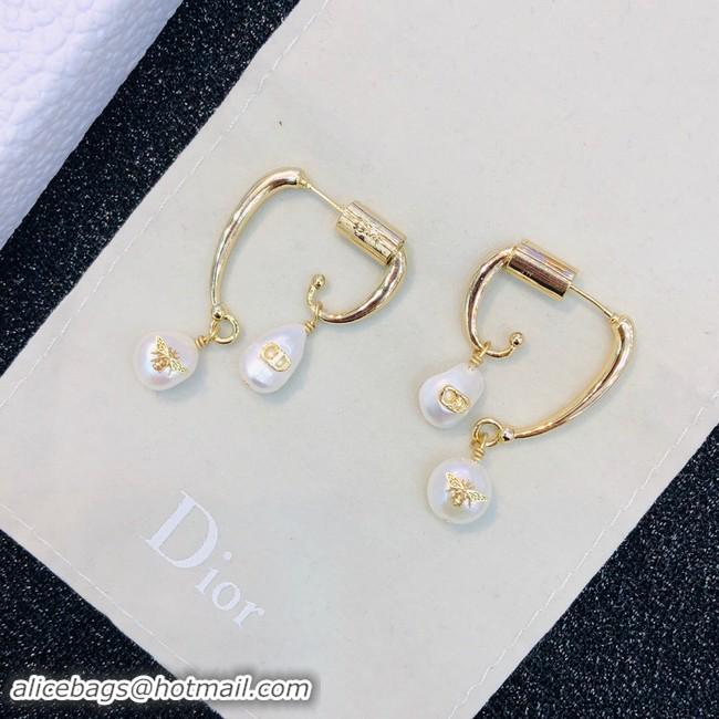 Low Price Discount Dior Earrings CE2021