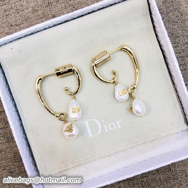 Low Price Discount Dior Earrings CE2021