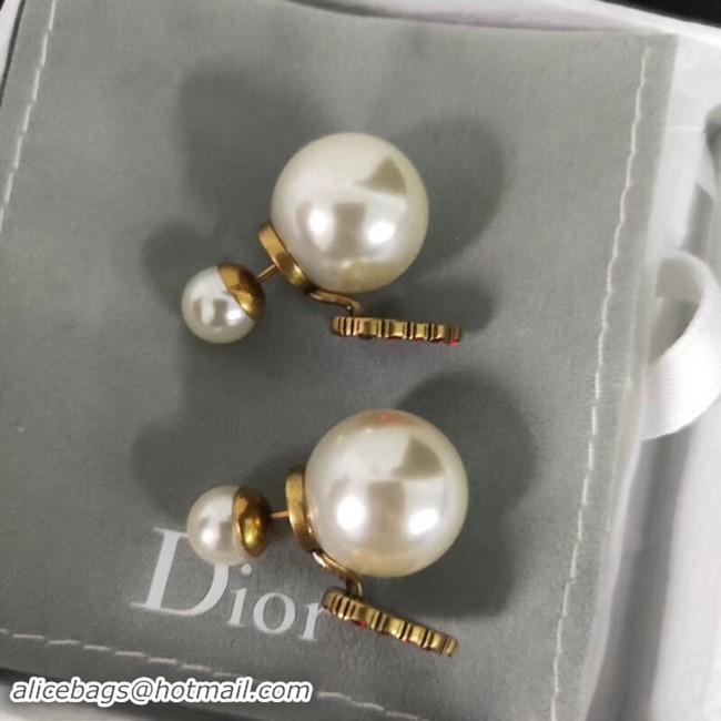 Buy Faux Discount Dior Earrings CE2110