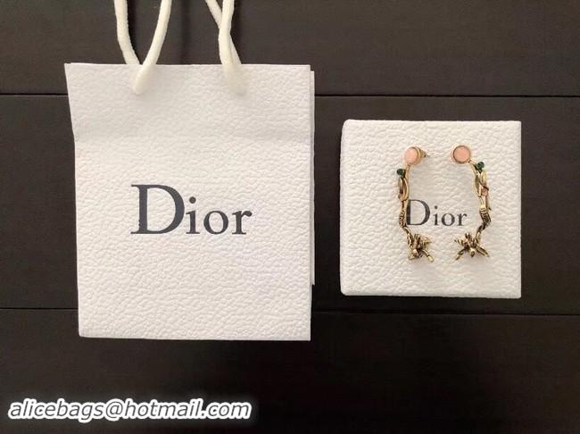 Best Price Dior Earrings CE2134