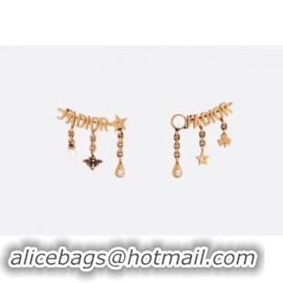 Top Grade Dior Earrings CE2135