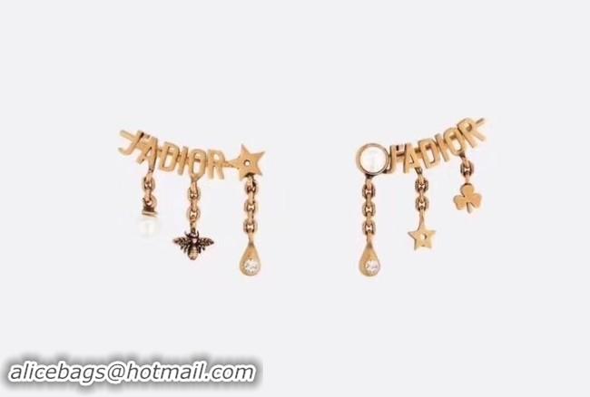 Top Grade Dior Earrings CE2135