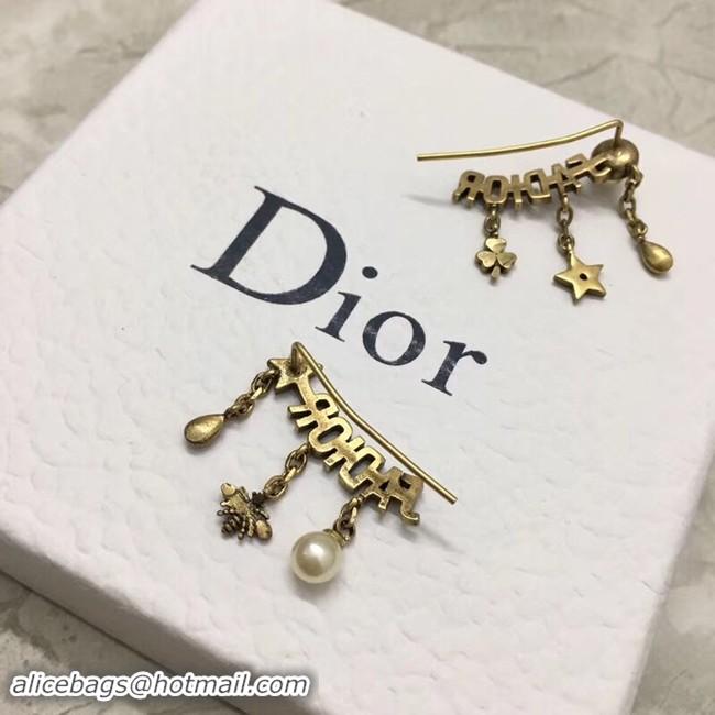 Top Grade Dior Earrings CE2135