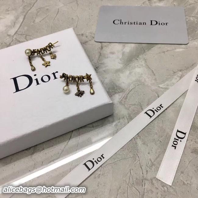 Top Grade Dior Earrings CE2135