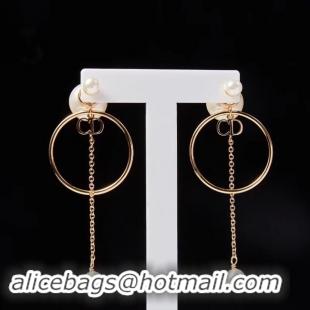 Expensive Cheap Dior Earrings CE2215